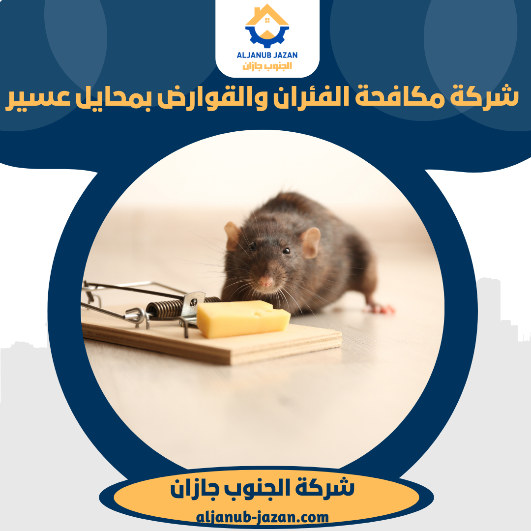 شركة مكافحة الفئران بمحايل عسير شركة مكافحة الفئران بمحايل عسير