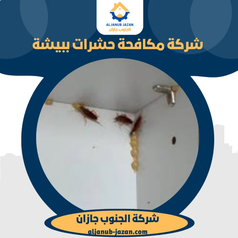 شركة مكافحة حشرات ببيشة