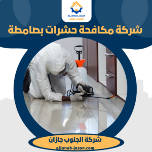 شركة مكافحة حشرات بصامطة